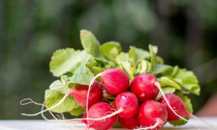 Gli amici della dieta puoi coltivarli sul balcone: i ravanelli