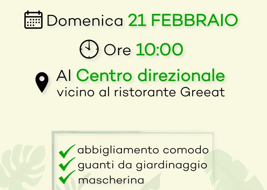 Degrado al Centro Direzionale di Napoli: una domenica di pulizie per riqualificare l’area