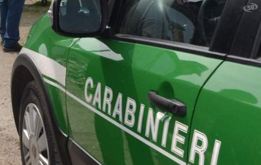 Sant’Antonio Abate: sequestrata dai carabinieri forestali un’area agricola usata come parcheggio per i camion di rifiuti