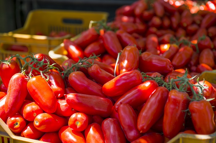 ASPETTANDO IL MIO SAN MARZANO, L’EVENTO DI SOLANIA IL 24 LUGLIO A SARNO