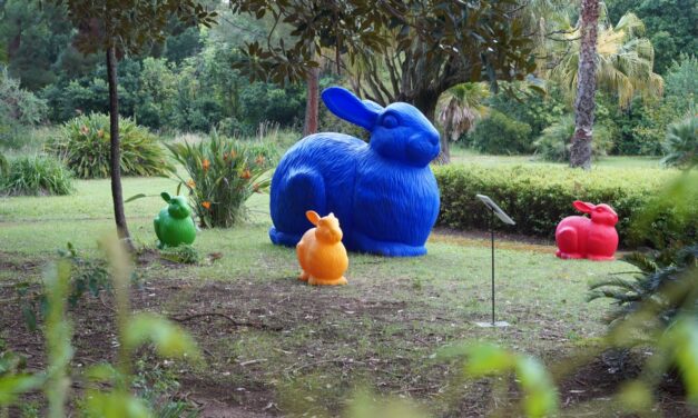 Casalnuovo di Napoli, le coloratissime sculture di Cracking Art giungono in città