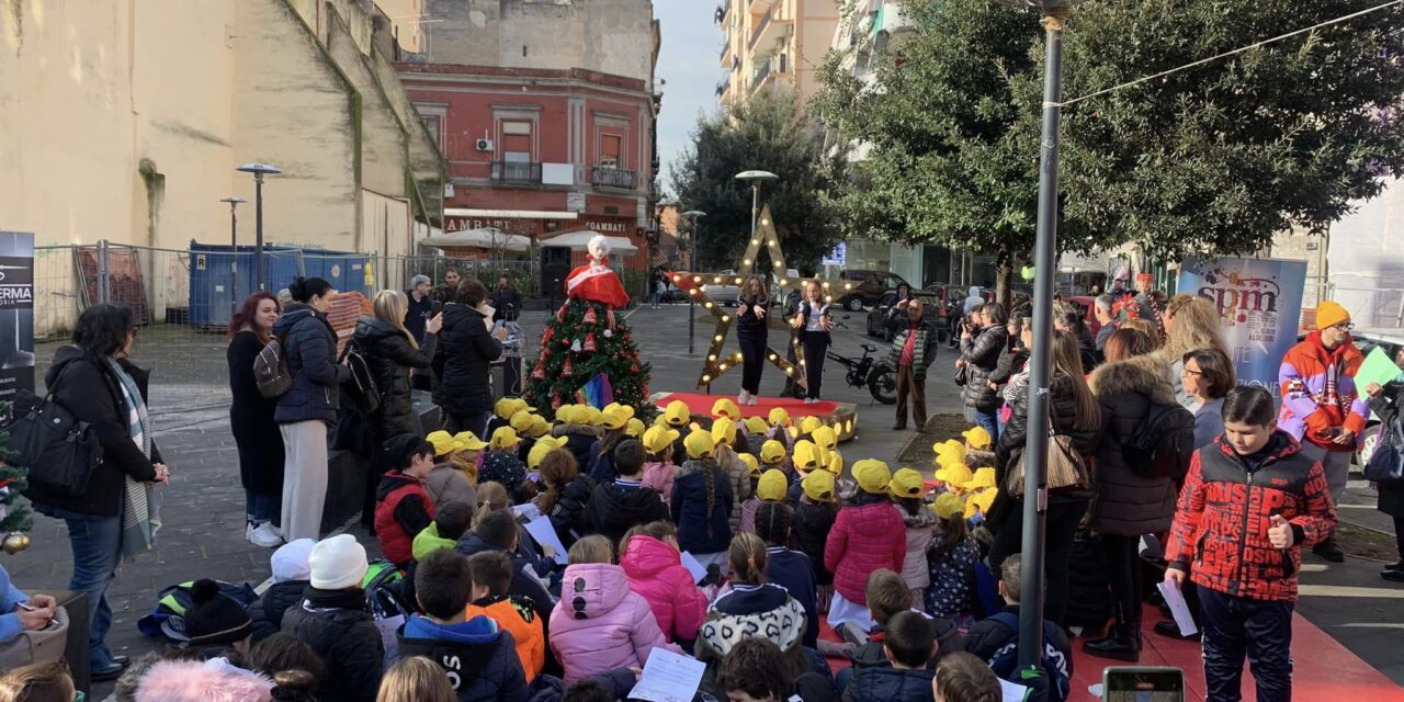 Casoria. Vota l’albero più bello in piazza Cirillo: grande successo per l’iniziativa