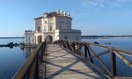 Vitivinicoltura e Sviluppo, il convegno del Consorzio Tutela Vini Campi Flegrei e Ischia