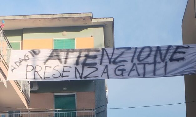 Il grande cuore dei Casoriani, cittadini in difesa degli animali investiti dalle auto: “Attenzione, presenza gatti”